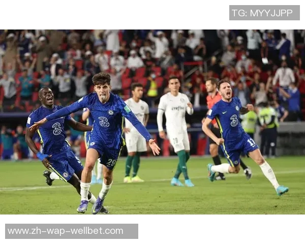 切尔西对阵埃弗顿精彩直播全程回顾与赛后分析